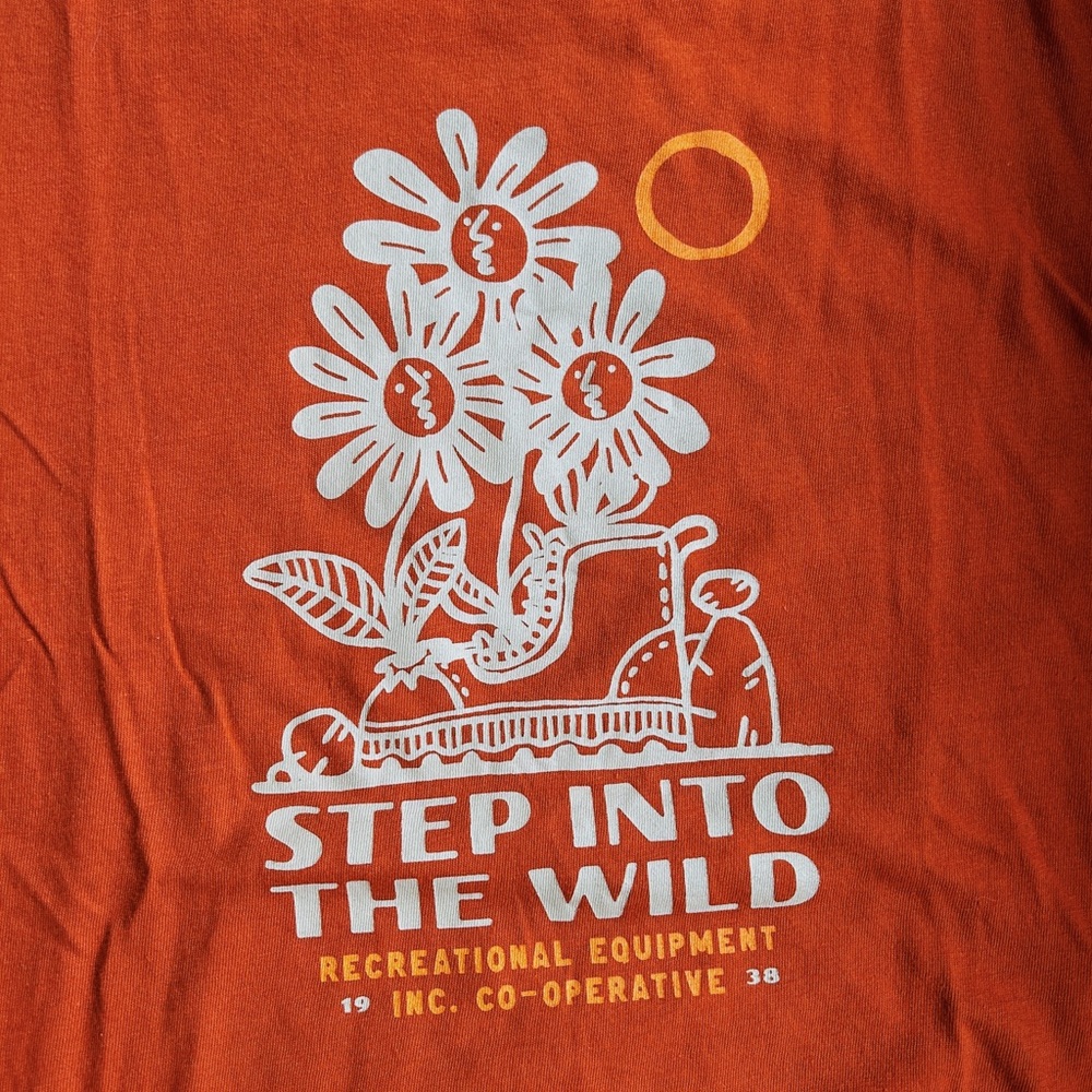 REI Kids’ Step Into the Wild Graphic T-Shirt (Unisex Size L, Age 14-16)